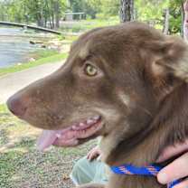 Thumbnail photo of Memphis #2