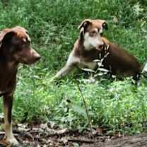 Thumbnail photo of Montana #2