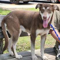 Thumbnail photo of Montana #4