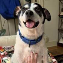 Thumbnail photo of Moses #2