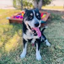 Thumbnail photo of Flynn #2