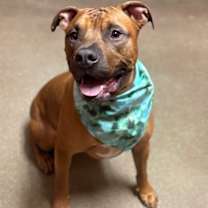 Thumbnail photo of Todd #1