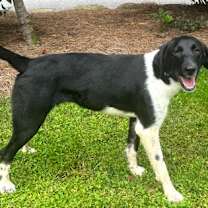 Thumbnail photo of Keowee #3