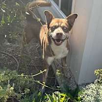 Thumbnail photo of Shaw #4