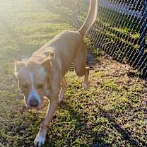 Thumbnail photo of Skoog #1