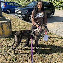 Thumbnail photo of O Ya John Wick #1