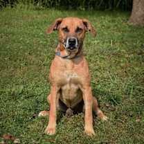 Thumbnail photo of Elias #1