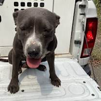 Thumbnail photo of Uramaki #2