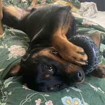 Thumbnail photo of Hero #2