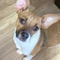 Thumbnail photo of Tiny #1