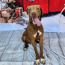 Thumbnail photo of Tony JuM #4