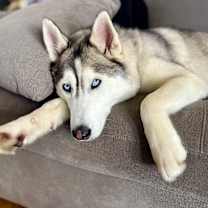 Thumbnail photo of Maya #2