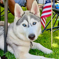 Thumbnail photo of Maya #4