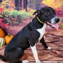 Thumbnail photo of Shelly JuM #2