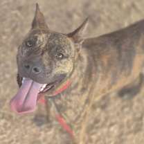 Thumbnail photo of JIRO #2