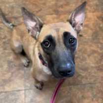 Thumbnail photo of Jodie #1