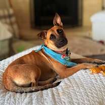 Thumbnail photo of Jodie #3