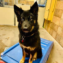 Thumbnail photo of Sara #3