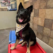 Thumbnail photo of Sara #4