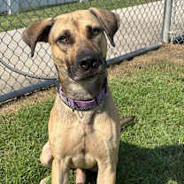 Thumbnail photo of Jackson #1