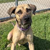 Thumbnail photo of Jackson #2