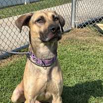 Thumbnail photo of Jackson #3