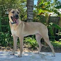 Thumbnail photo of Boone #1