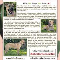 Thumbnail photo of Boone #4