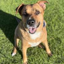 Thumbnail photo of Jake #1