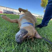 Thumbnail photo of Jake #2