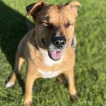 Thumbnail photo of Jake #3