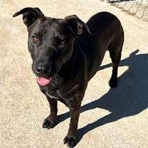 Thumbnail photo of Merry #2