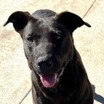 Thumbnail photo of Merry #3