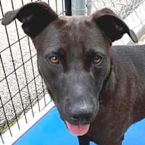 Thumbnail photo of Merry #4