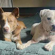 Thumbnail photo of Luna Lu #4