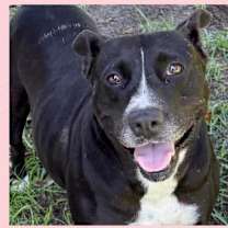 Thumbnail photo of Ely #2