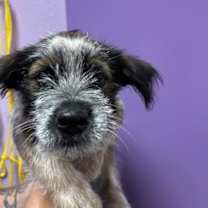 Thumbnail photo of 59464022 #2