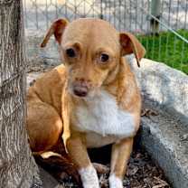 Thumbnail photo of Gianna #3