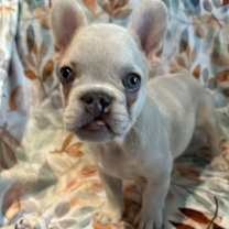 Thumbnail photo of Sebastian #2