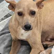 Thumbnail photo of Treasure #4