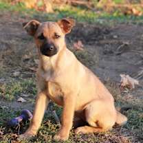 Thumbnail photo of Bonita #4