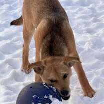 Thumbnail photo of Marco #1