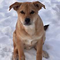 Thumbnail photo of Marco #2