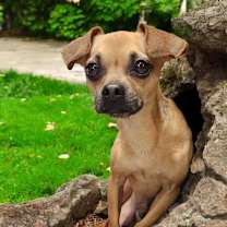 Thumbnail photo of Freddy Fender #1