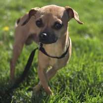 Thumbnail photo of Freddy Fender #2