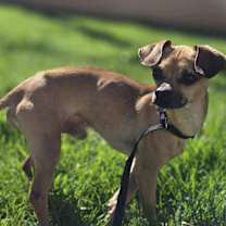 Thumbnail photo of Freddy Fender #3