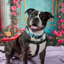 Thumbnail photo of Keeno #1