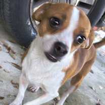 Thumbnail photo of Annie #4