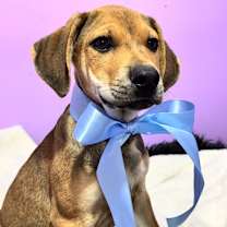 Thumbnail photo of THEODORE “Theo” #2