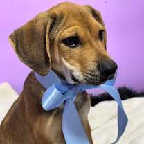 Thumbnail photo of THEODORE “Theo” #3